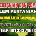 TOKO DILEM PERTANIAN DI KEPANJEN MALANG JAWA TIMUR