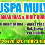 PUSPA MULYA TANAMAN HIAS DAN BIBIT BUAH PEMALANG JAWA TENGAH