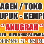 ANUGRAH TOKO KERUPUK KEMPLANG DI PRABUMULIH