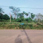 JUAL TANAH MURAH SE INDONESIA  0813 6744 5991