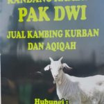 PAK DWI JUAL BELI KAMBING DI BELILAS INDRAGIRI HULU