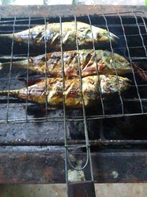 WhatsApp Image 2024-07-21 at 08.04.25