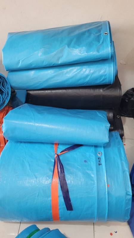 WhatsApp Image 2024-08-03 at 11.07.07 (1)