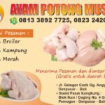 Moch Basir Agen ayam Potong Di Denpasar Bali