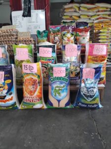 WhatsApp Image 2024-08-12 at 20.55.35