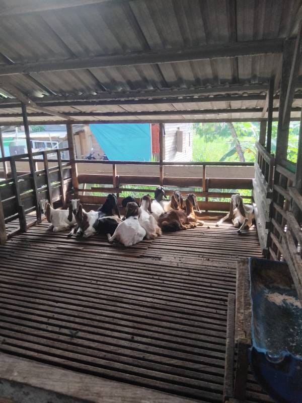 WhatsApp Image 2024-08-14 at 21.03.32