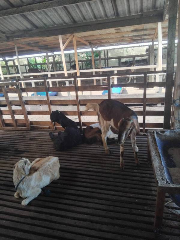 WhatsApp Image 2024-08-14 at 21.03.35