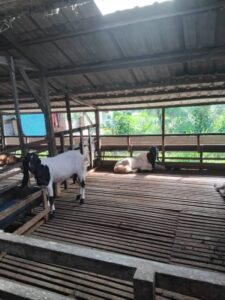 WhatsApp Image 2024-08-14 at 21.03.39 (1)