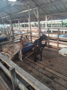 WhatsApp Image 2024-08-14 at 21.03.40 (2)