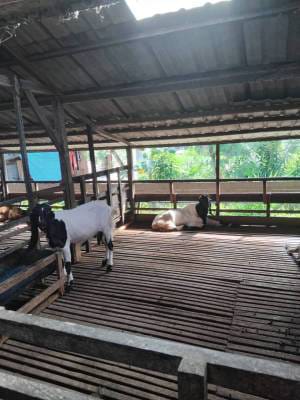 WhatsApp Image 2024-08-14 at 21.03.40