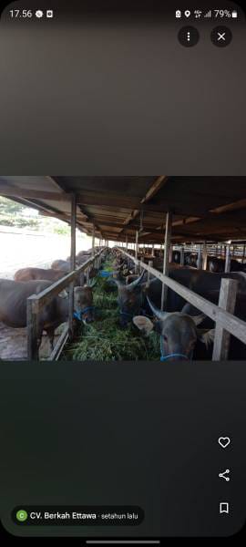 WhatsApp Image 2024-08-14 at 21.03.42 (1)