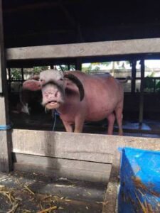 WhatsApp Image 2024-08-14 at 21.03.44 (1)