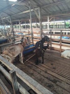 WhatsApp Image 2024-08-14 at 21.03.46