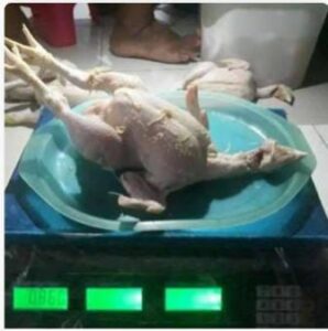 WhatsApp Image 2024-08-15 at 05.34.55 (1)