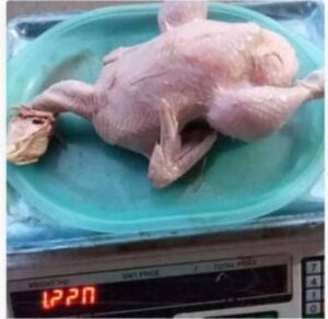 WhatsApp Image 2024-08-15 at 05.34.57 (1)