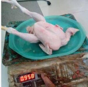 WhatsApp Image 2024-08-15 at 05.34.57 (2)