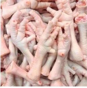 WhatsApp Image 2024-08-15 at 05.34.58 (1)