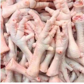 WhatsApp Image 2024-08-15 at 05.34.58 (1)