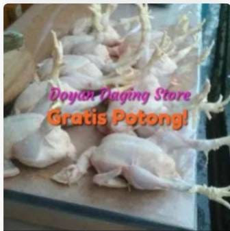 WhatsApp Image 2024-08-15 at 05.34.59 (2)