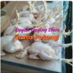 WhatsApp Image 2024-08-15 at 05.35.01