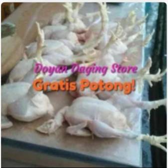 WhatsApp Image 2024-08-15 at 05.35.01