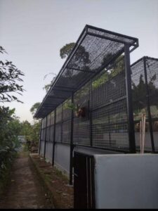 WhatsApp Image 2024-08-15 at 05.36.20