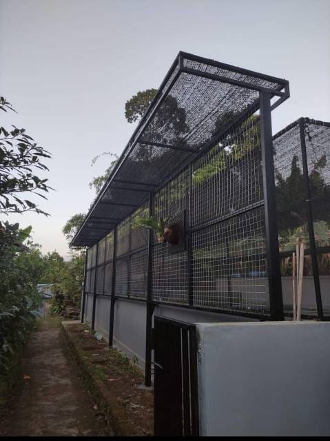 WhatsApp Image 2024-08-15 at 05.36.20