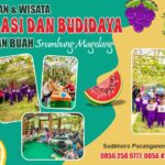 Wisata Edukasi dan Budidaya Wisata edukasi tanaman buah Srumbung Magelang