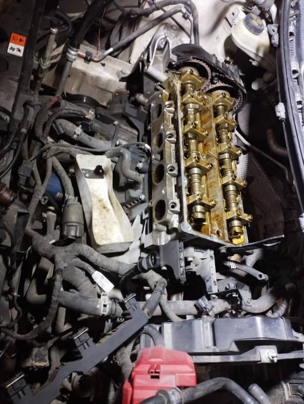 WhatsApp Image 2024-09-01 at 10.38.47 (1)