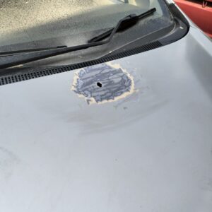 WhatsApp Image 2024-09-02 at 12.39.29