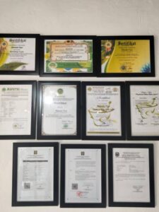 WhatsApp Image 2024-09-13 at 22.00.10 (1)