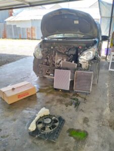 WhatsApp Image 2024-09-20 at 20.53.13