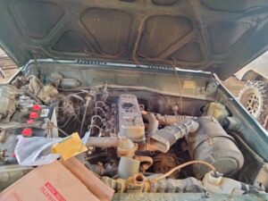 WhatsApp Image 2024-09-22 at 17.02.31 (7)