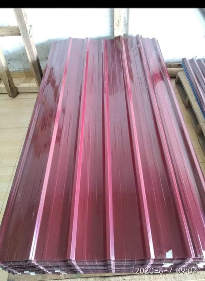 WhatsApp Image 2024-09-23 at 07.58.04