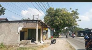 WhatsApp Image 2024-10-01 at 22.03.17