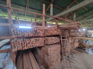 WhatsApp Image 2024-10-04 at 23.38.29 (2)