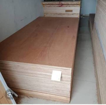 WhatsApp Image 2024-10-09 at 08.24.18