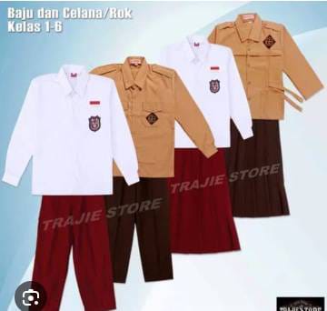 WhatsApp Image 2024-10-09 at 08.27.05 (1)