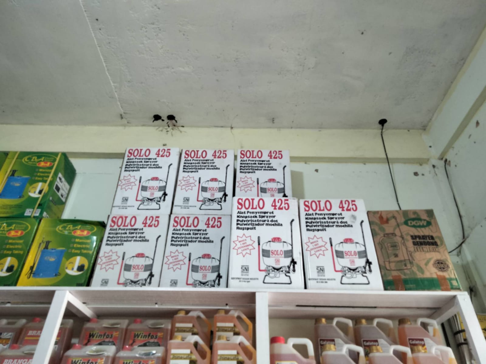 WhatsApp Image 2024-10-09 at 20.27.16