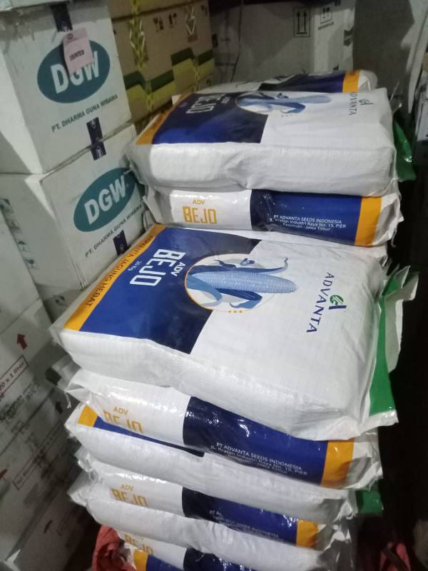 WhatsApp Image 2024-10-13 at 09.28.39