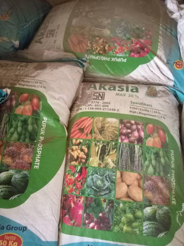 WhatsApp Image 2024-10-13 at 09.28.40