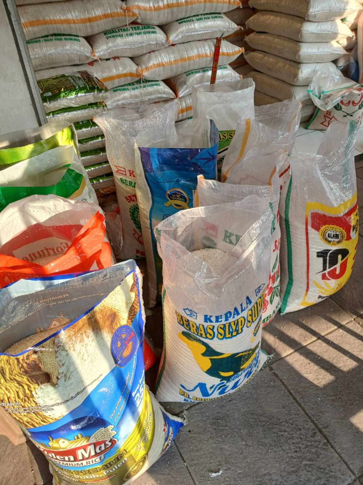 WhatsApp Image 2024-10-14 at 19.57.38