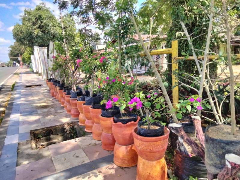 WhatsApp Image 2024-10-28 at 20.43.43