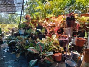 WhatsApp Image 2024-10-28 at 20.43.44