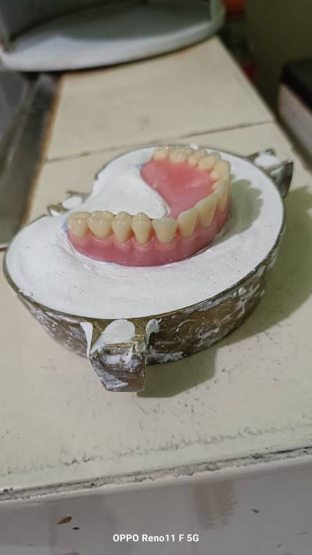 WhatsApp Image 2024-10-28 at 20.49.42 (1)