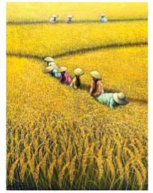 WhatsApp Image 2024-11-04 at 12.54.09 (2)