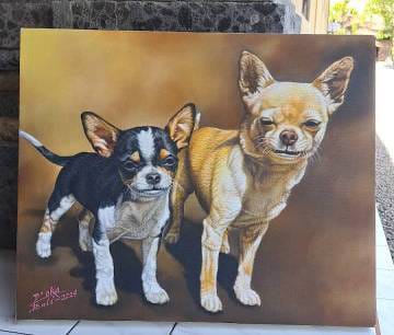 WhatsApp Image 2024-11-04 at 12.54.11 (2)