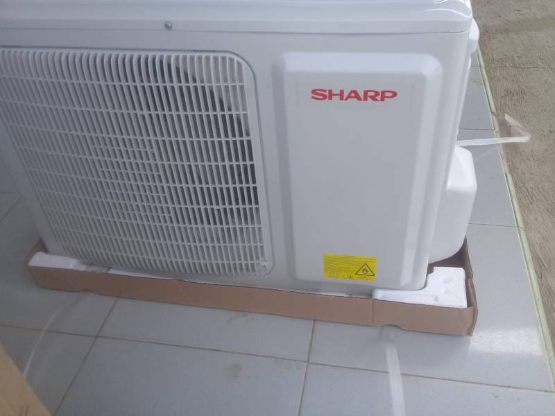 WhatsApp Image 2024-11-16 at 22.43.15 (1)