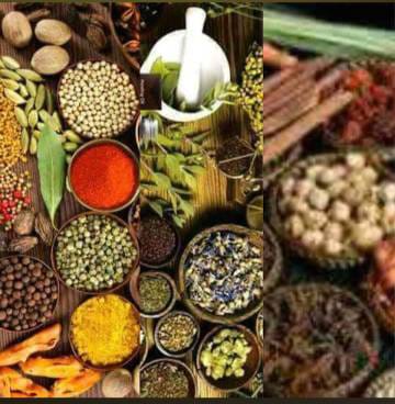 WhatsApp Image 2024-11-25 at 18.16.13 (1)