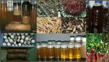 WhatsApp Image 2024-11-25 at 18.16.13